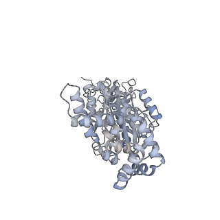 25977_7tkp_B_v1-0
Yeast ATP synthase State 3catalytic(b) with 10 mM ATP backbone model
