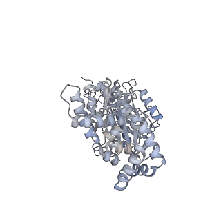 25977_7tkp_B_v1-1
Yeast ATP synthase State 3catalytic(b) with 10 mM ATP backbone model