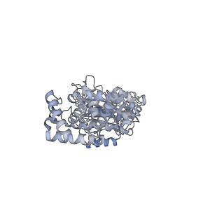 25977_7tkp_C_v1-0
Yeast ATP synthase State 3catalytic(b) with 10 mM ATP backbone model
