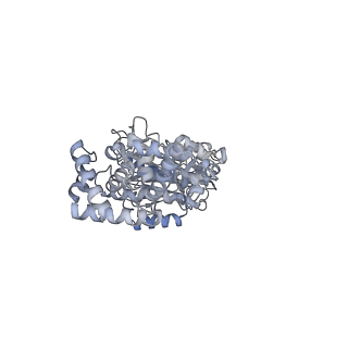 25977_7tkp_C_v1-1
Yeast ATP synthase State 3catalytic(b) with 10 mM ATP backbone model