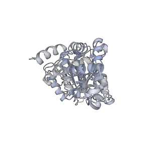 25977_7tkp_D_v1-0
Yeast ATP synthase State 3catalytic(b) with 10 mM ATP backbone model
