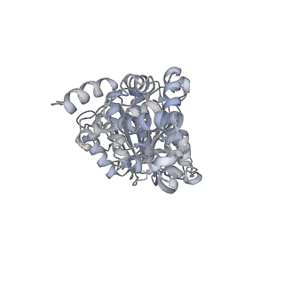 25977_7tkp_D_v1-1
Yeast ATP synthase State 3catalytic(b) with 10 mM ATP backbone model