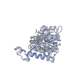 25977_7tkp_E_v1-0
Yeast ATP synthase State 3catalytic(b) with 10 mM ATP backbone model