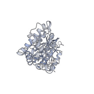 25977_7tkp_F_v1-0
Yeast ATP synthase State 3catalytic(b) with 10 mM ATP backbone model