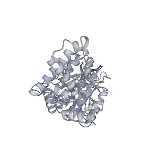 25977_7tkp_F_v1-1
Yeast ATP synthase State 3catalytic(b) with 10 mM ATP backbone model