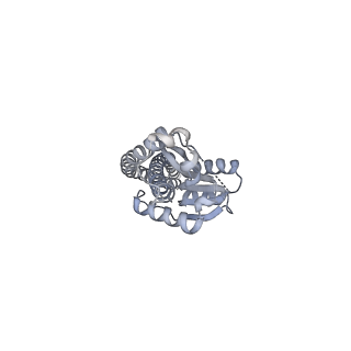 25977_7tkp_G_v1-0
Yeast ATP synthase State 3catalytic(b) with 10 mM ATP backbone model