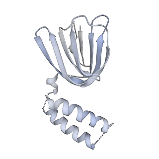 25977_7tkp_H_v1-1
Yeast ATP synthase State 3catalytic(b) with 10 mM ATP backbone model