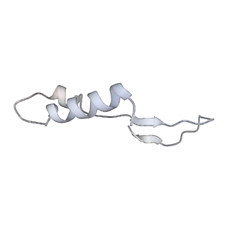 25977_7tkp_I_v1-1
Yeast ATP synthase State 3catalytic(b) with 10 mM ATP backbone model