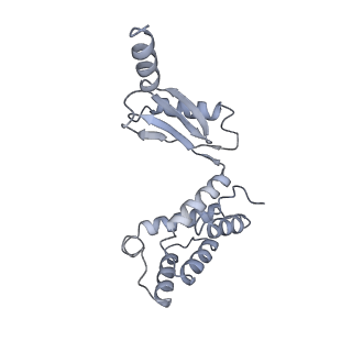 25977_7tkp_O_v1-0
Yeast ATP synthase State 3catalytic(b) with 10 mM ATP backbone model