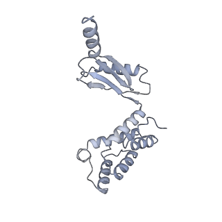 25977_7tkp_O_v1-1
Yeast ATP synthase State 3catalytic(b) with 10 mM ATP backbone model