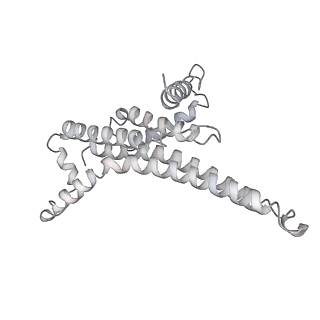 25977_7tkp_T_v1-0
Yeast ATP synthase State 3catalytic(b) with 10 mM ATP backbone model