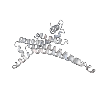 25977_7tkp_T_v1-1
Yeast ATP synthase State 3catalytic(b) with 10 mM ATP backbone model