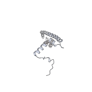 25977_7tkp_V_v1-0
Yeast ATP synthase State 3catalytic(b) with 10 mM ATP backbone model