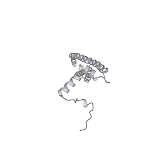 25977_7tkp_V_v1-1
Yeast ATP synthase State 3catalytic(b) with 10 mM ATP backbone model