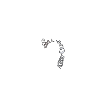 25977_7tkp_W_v1-0
Yeast ATP synthase State 3catalytic(b) with 10 mM ATP backbone model