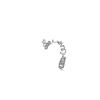 25977_7tkp_W_v1-1
Yeast ATP synthase State 3catalytic(b) with 10 mM ATP backbone model