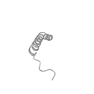 25977_7tkp_Z_v1-1
Yeast ATP synthase State 3catalytic(b) with 10 mM ATP backbone model