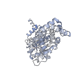 25978_7tkq_A_v1-1
Yeast ATP synthase State 3catalytic(c) with 10 mM ATP backbone model