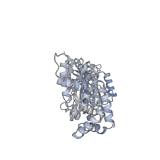 25978_7tkq_B_v1-0
Yeast ATP synthase State 3catalytic(c) with 10 mM ATP backbone model