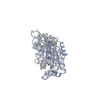 25978_7tkq_B_v1-1
Yeast ATP synthase State 3catalytic(c) with 10 mM ATP backbone model