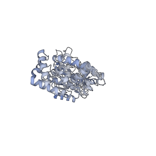 25978_7tkq_C_v1-0
Yeast ATP synthase State 3catalytic(c) with 10 mM ATP backbone model