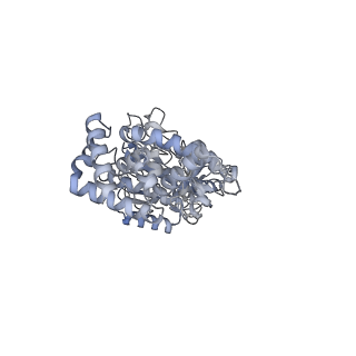 25978_7tkq_C_v1-1
Yeast ATP synthase State 3catalytic(c) with 10 mM ATP backbone model