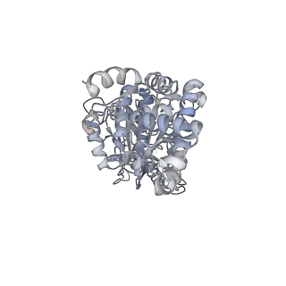 25978_7tkq_D_v1-0
Yeast ATP synthase State 3catalytic(c) with 10 mM ATP backbone model