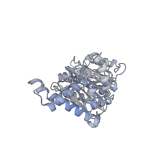 25978_7tkq_E_v1-0
Yeast ATP synthase State 3catalytic(c) with 10 mM ATP backbone model