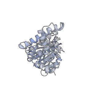 25978_7tkq_F_v1-0
Yeast ATP synthase State 3catalytic(c) with 10 mM ATP backbone model