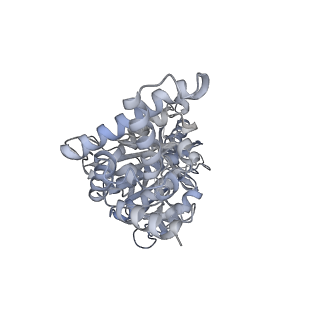 25978_7tkq_F_v1-1
Yeast ATP synthase State 3catalytic(c) with 10 mM ATP backbone model