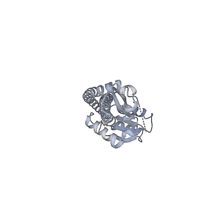 25978_7tkq_G_v1-0
Yeast ATP synthase State 3catalytic(c) with 10 mM ATP backbone model