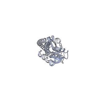 25978_7tkq_G_v1-1
Yeast ATP synthase State 3catalytic(c) with 10 mM ATP backbone model