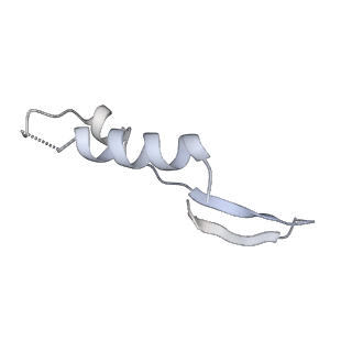 25978_7tkq_I_v1-0
Yeast ATP synthase State 3catalytic(c) with 10 mM ATP backbone model