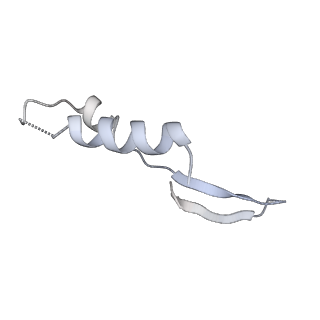 25978_7tkq_I_v1-1
Yeast ATP synthase State 3catalytic(c) with 10 mM ATP backbone model