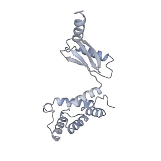 25978_7tkq_O_v1-1
Yeast ATP synthase State 3catalytic(c) with 10 mM ATP backbone model