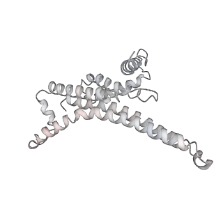 25978_7tkq_T_v1-0
Yeast ATP synthase State 3catalytic(c) with 10 mM ATP backbone model