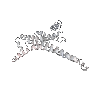 25978_7tkq_T_v1-1
Yeast ATP synthase State 3catalytic(c) with 10 mM ATP backbone model