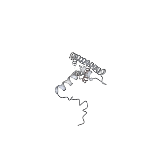 25978_7tkq_V_v1-1
Yeast ATP synthase State 3catalytic(c) with 10 mM ATP backbone model