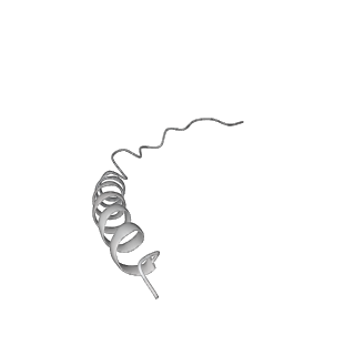 25978_7tkq_Y_v1-1
Yeast ATP synthase State 3catalytic(c) with 10 mM ATP backbone model