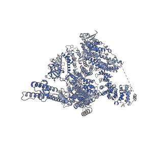 41323_8tk8_A_v1-0
Human Type 3 IP3 Receptor - Resting State (+IP3/ATP)