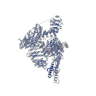 41323_8tk8_B_v1-0
Human Type 3 IP3 Receptor - Resting State (+IP3/ATP)