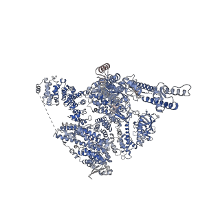 41323_8tk8_C_v1-0
Human Type 3 IP3 Receptor - Resting State (+IP3/ATP)