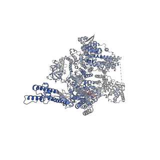 41347_8tkd_A_v1-0
Human Type 3 IP3 Receptor - Preactivated State (+IP3/ATP)