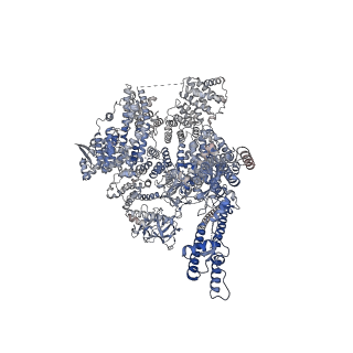 41347_8tkd_B_v1-0
Human Type 3 IP3 Receptor - Preactivated State (+IP3/ATP)