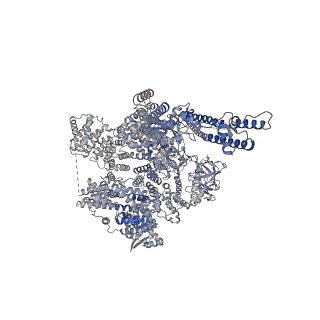 41347_8tkd_C_v1-0
Human Type 3 IP3 Receptor - Preactivated State (+IP3/ATP)