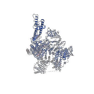 41347_8tkd_D_v1-0
Human Type 3 IP3 Receptor - Preactivated State (+IP3/ATP)