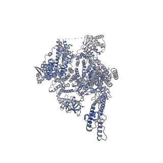 41348_8tke_B_v1-0
Human Type 3 IP3 Receptor - Preactivated+Ca2+ State (+IP3/ATP/JD Ca2+)