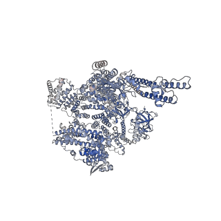 41348_8tke_C_v1-0
Human Type 3 IP3 Receptor - Preactivated+Ca2+ State (+IP3/ATP/JD Ca2+)