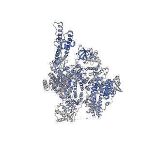 41348_8tke_D_v1-0
Human Type 3 IP3 Receptor - Preactivated+Ca2+ State (+IP3/ATP/JD Ca2+)