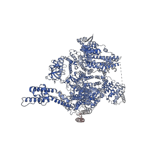 41349_8tkf_A_v1-0
Human Type 3 IP3 Receptor - Activated State (+IP3/ATP/JD Ca2+)